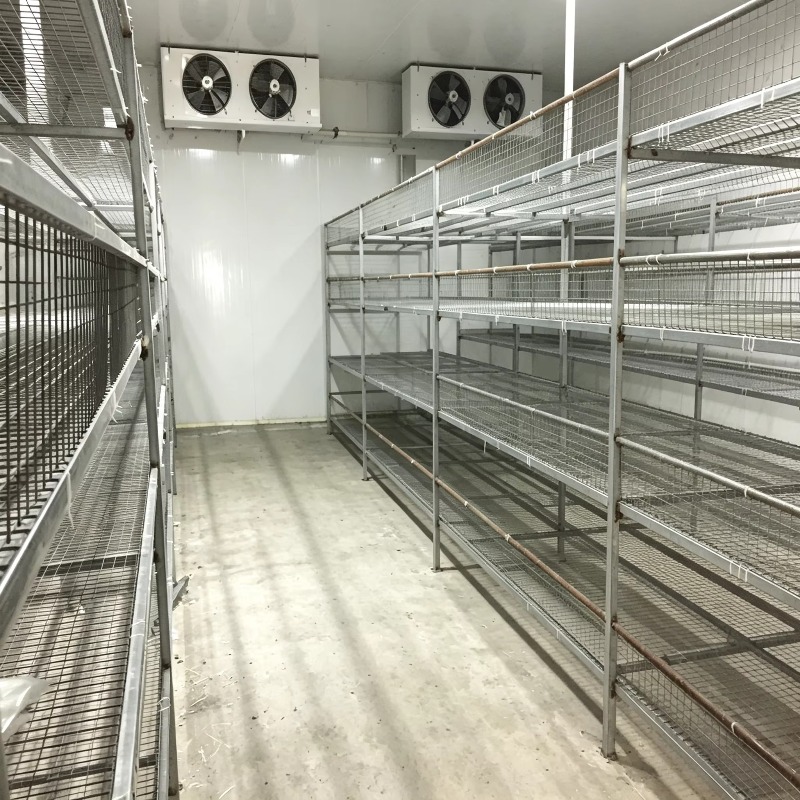 Hydroponiczna farma kontenerow – Urban Farming Projects recenzja i cena