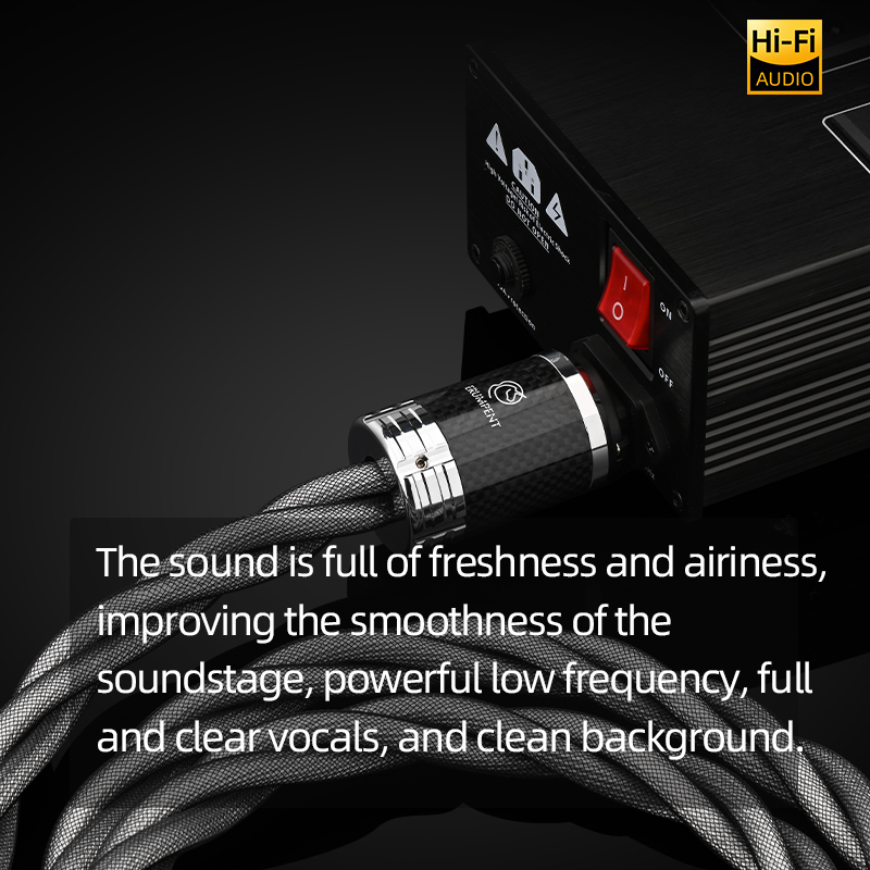 Kabel zasilający ERUMPENT HiFi – Carbon Filter Inline recenzja i cena